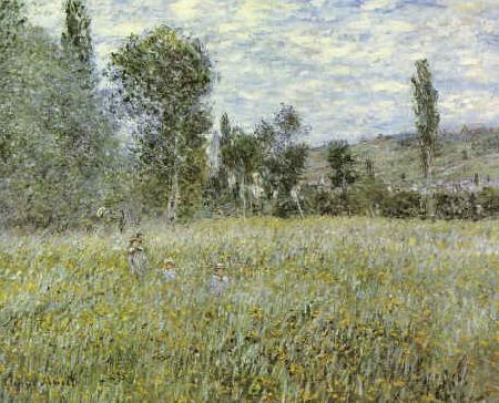 Claude Monet Across the Meadow Sweden oil painting art